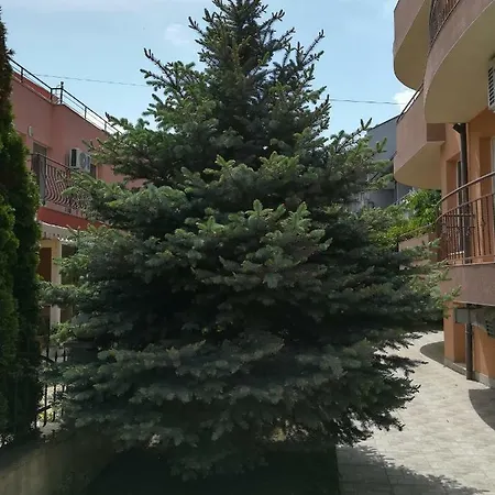 Hotell Dalia Nesebar