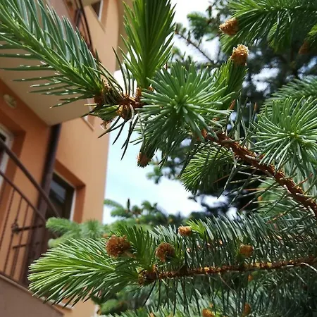 Hotell Dalia Nesebar